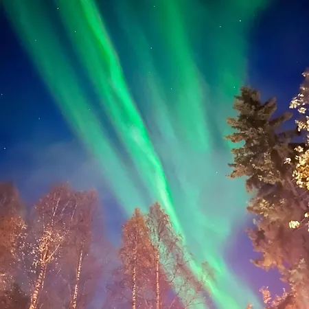 Arctic Evakko Apartamento