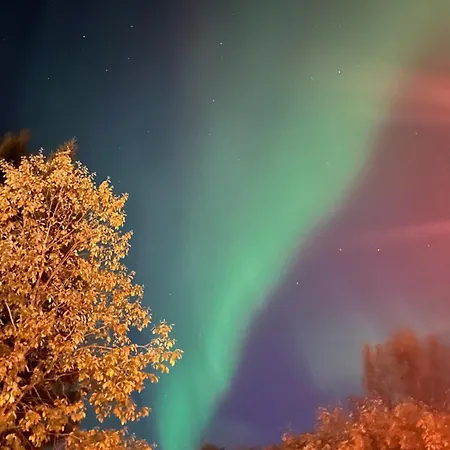 Arctic Evakko Apartament