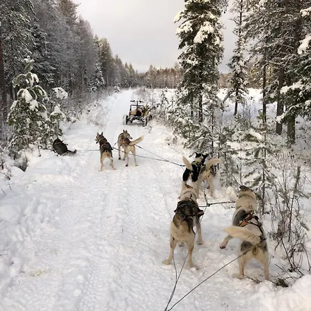 דירה Arctic Evakko רובניימי