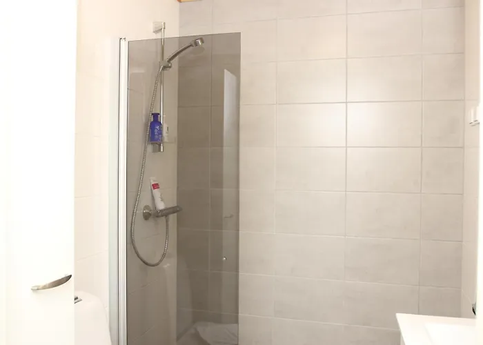 Arctic Evakko * רובניימי