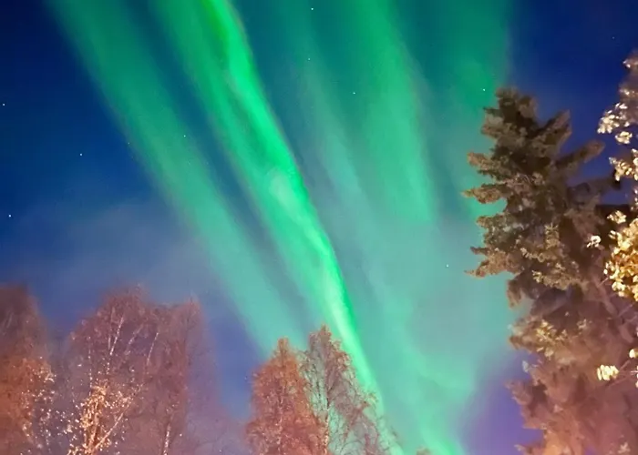 Arctic Evakko דירה