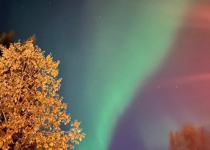 Arctic Evakko דירה