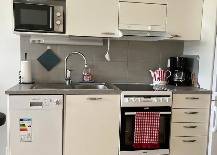 Arctic Evakko רובניימי